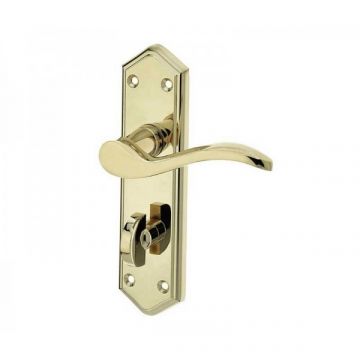 Paris Suite Door Handles On Bath Backplate Polished Brass