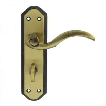 Wentworth Door Handle On Bath Backplate Florentine Bronze
